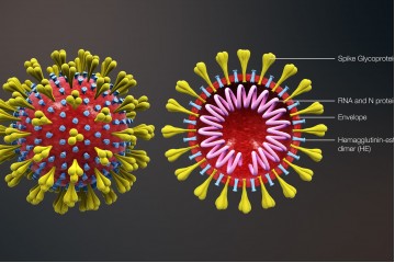 Coronavirus - the facts and your product options