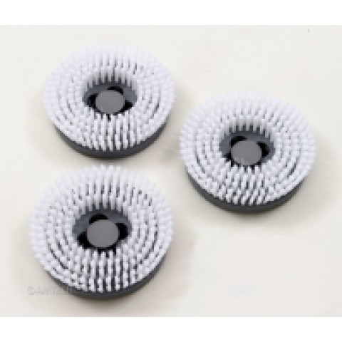 Cimex-Encap Shampoo Brushes