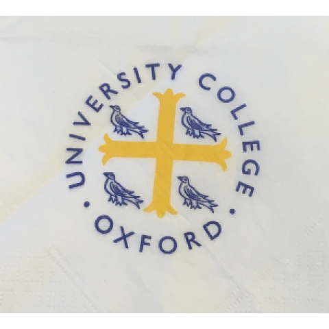 Customised Logo Napkin