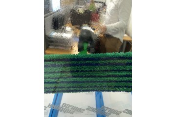 Ecoshine Pro Internal High Reach Window Cleaning