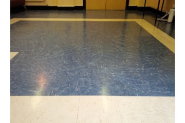 Schools - does your floor really need another layer of polish? Schools - does your floor really need another layer of polish?