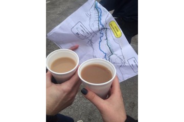 Step by Step Walk Step by Step Walk