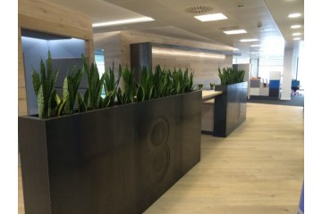 Source Plants launches with a flourish Source Plants launches with a flourish