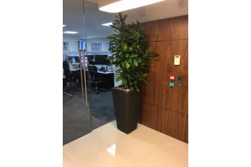 Source Plants Latest Install Source Plants Latest Install