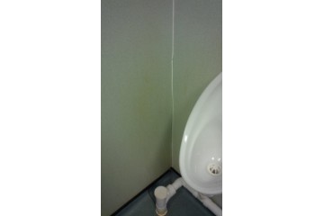 Bad aim? How to shift urine stains Bad aim? How to shift urine stains