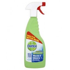 Dettol Mould And Mildew Remover