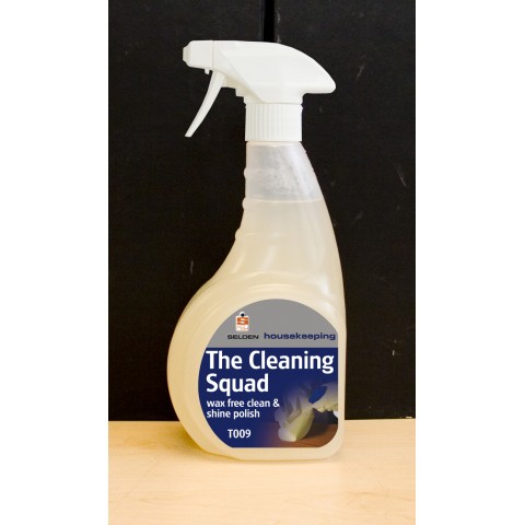 Wax Free Clean and Shine Polish