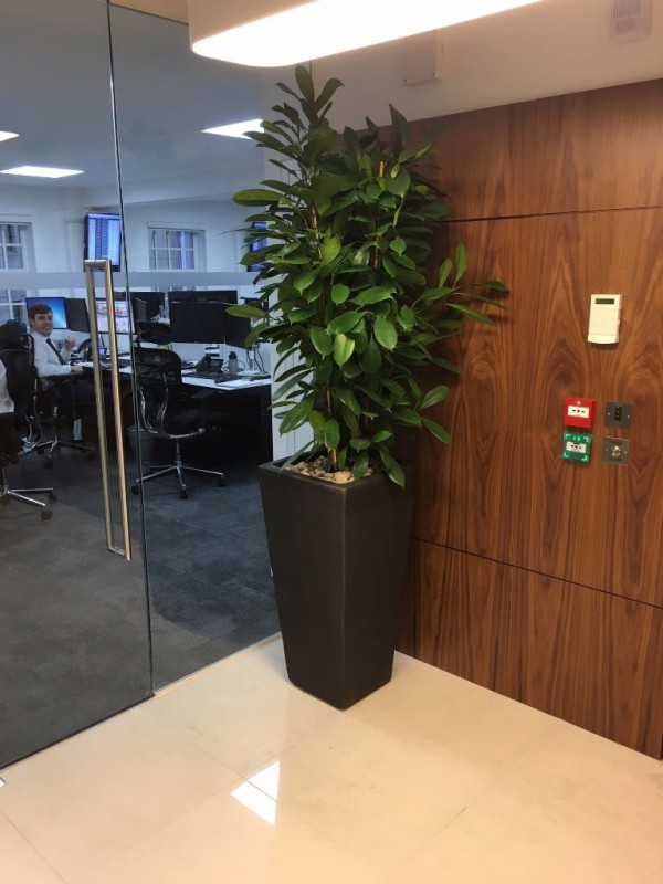 Source Plants at Argentex